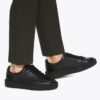Albion Sneaker Albion Sneaker