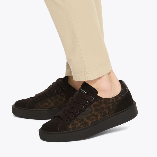 Albion Sneaker Albion Sneaker